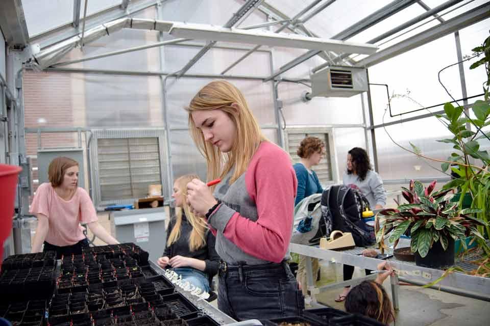 Students working in a greenhouse